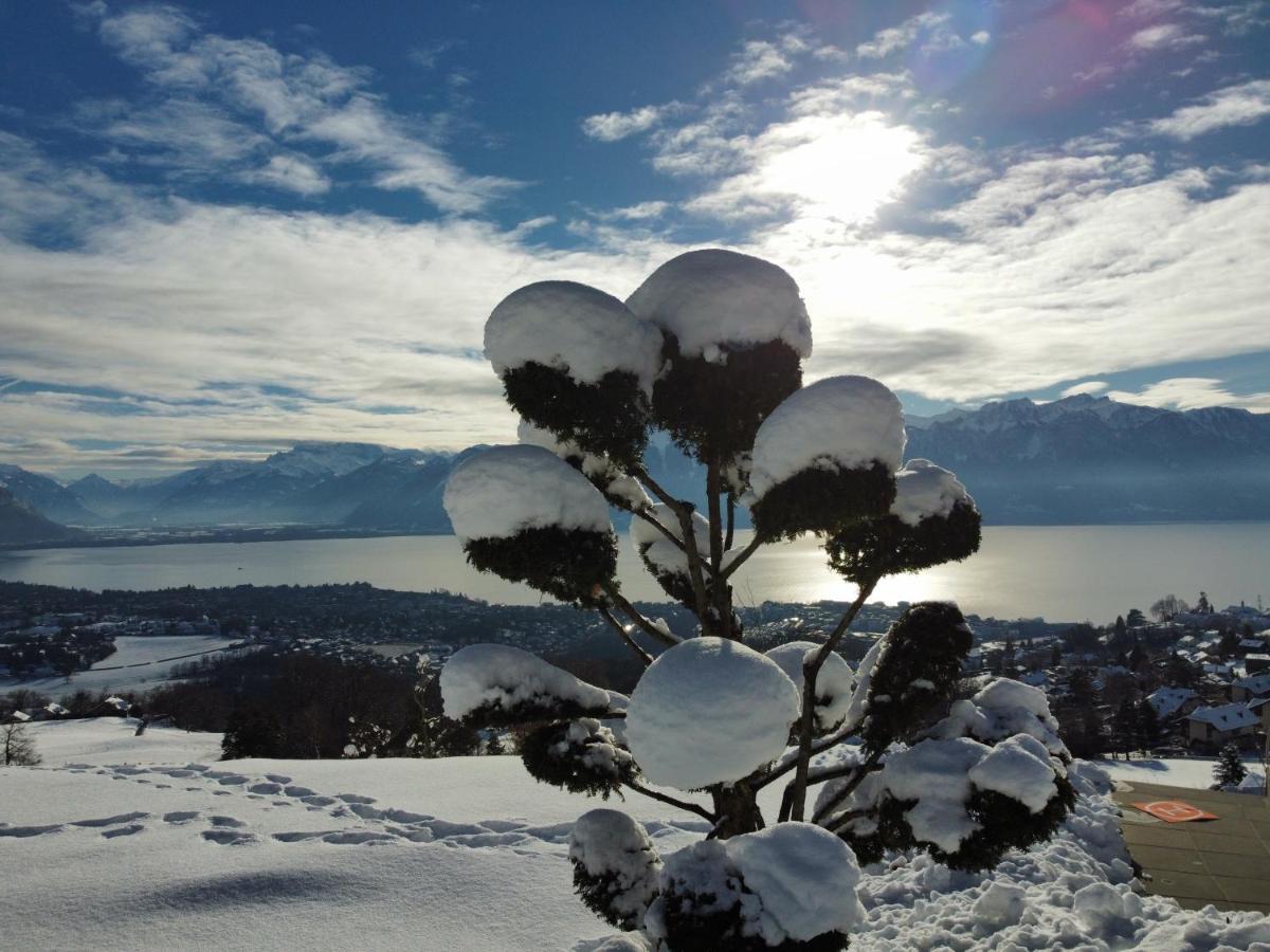 Appartement Moderne Avec Vue Panoramique A Jongny Proche De Montreux المظهر الخارجي الصورة